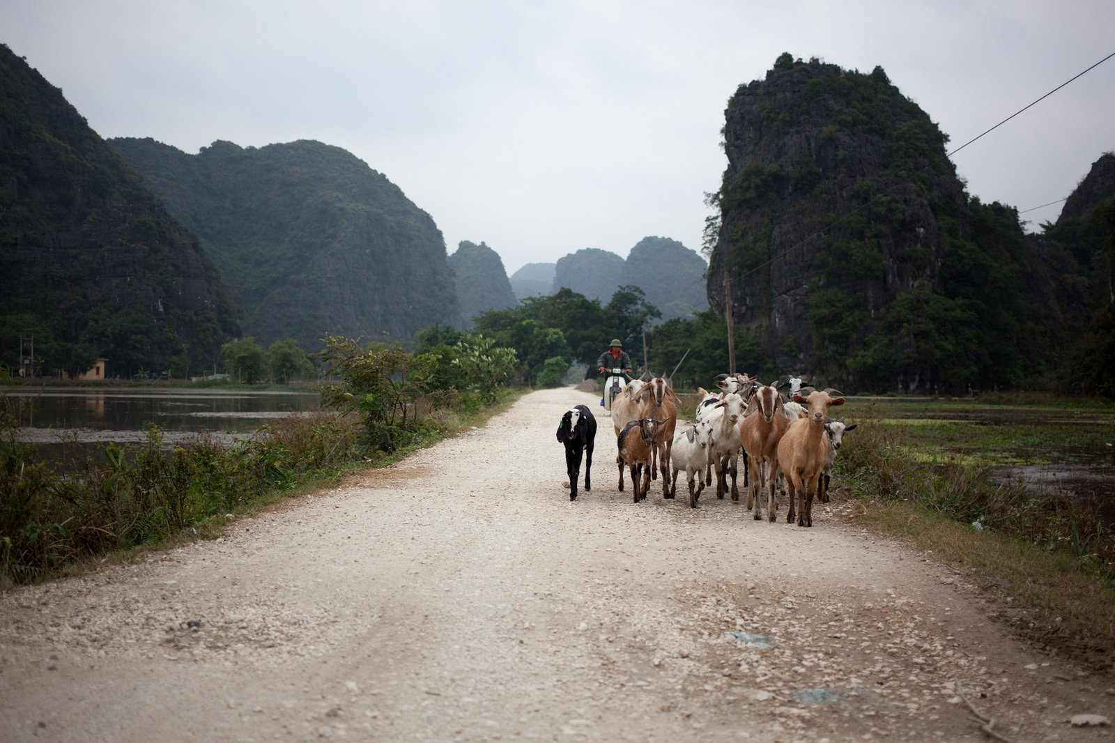 Northern Vietnam Muslim Tour